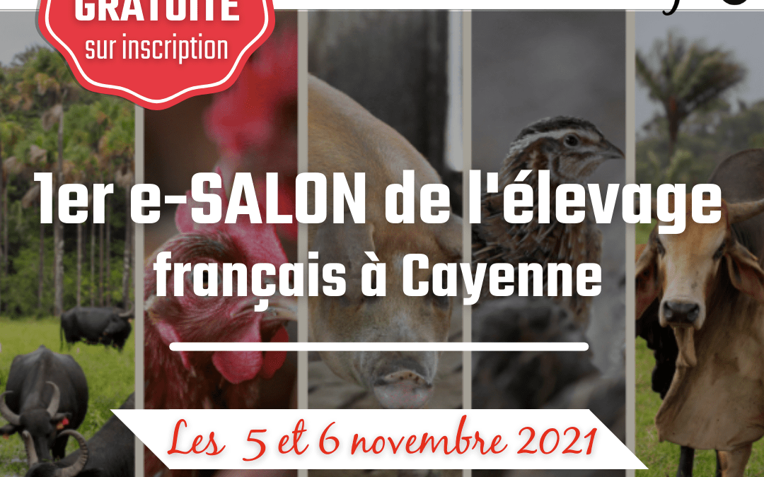 “Guyane Terre d’élevage”, le premier e-salon de l’élevage français
